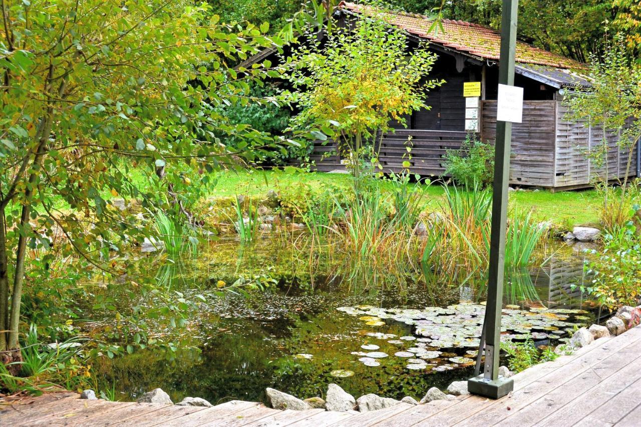 Wildgatter Ferienappartements Grafenwiesen Exteriér fotografie